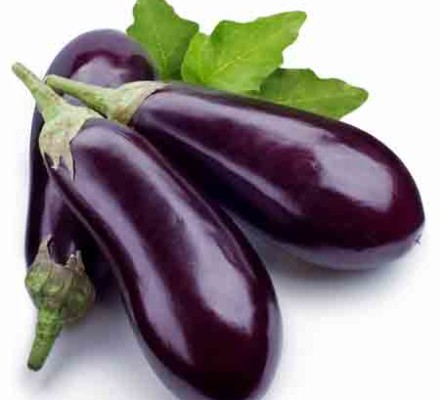 FNV BRINJAL LONG