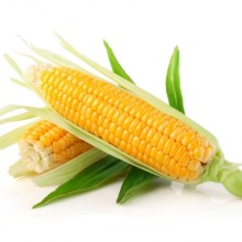 fresh-corn