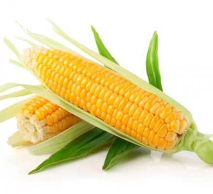 fresh-corn