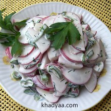 radish-onion-salad copy