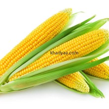 Corn maka copy
