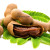 Fresh Tamarind with leaves