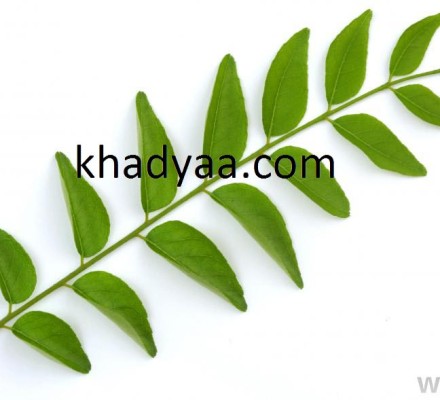 curry-leaves copy