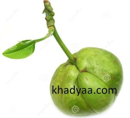 elephant-apple copy