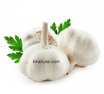garlic copy