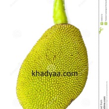 young-jackfruit-isolated-24805412 copy