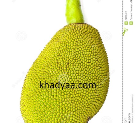 young-jackfruit-isolated-24805412 copy