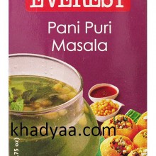 large-everest pani puri masala-50gm copy
