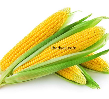 Corn maka copy