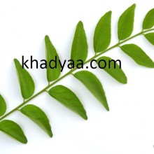 curry-leaves copy